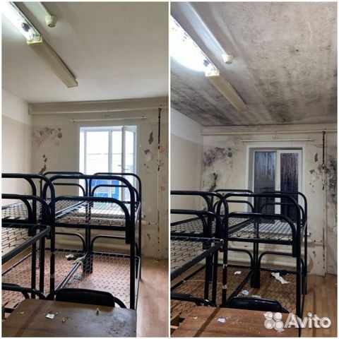 Уничтожение клопов,тараканов,клещей,плесень,запах