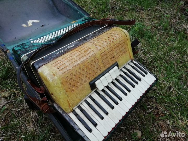 Аккордеон Орион