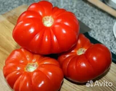 Семена коллекционных томатов США, Италия, Германия