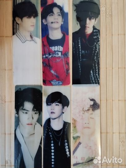 Закладка Бэкхен exo