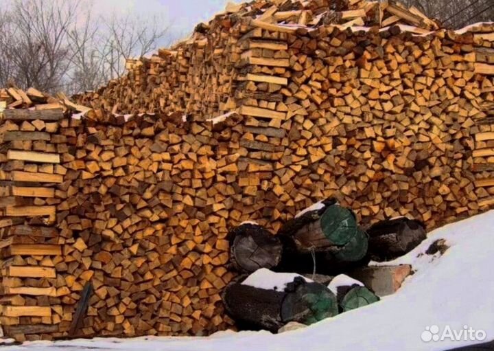 Дрова с Приморска