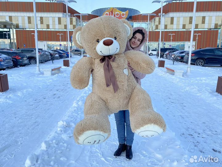 Новые плюшевые мишки