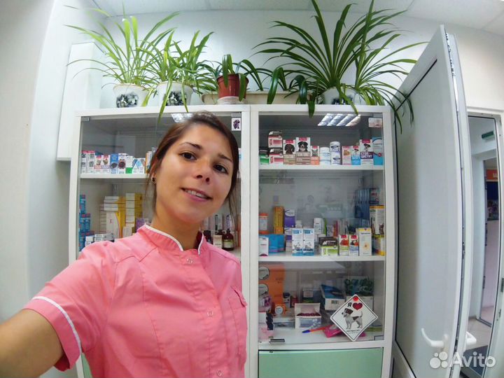 Ветеринарный врач - Выезд на дом (Москва и М.о.)