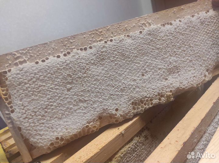 Мед натуральный липовый