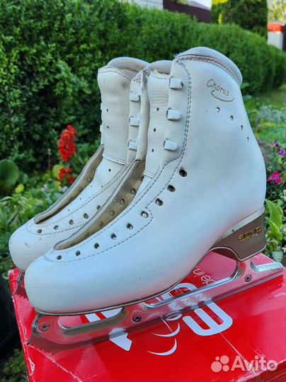 Коньки Edea Chorus 235