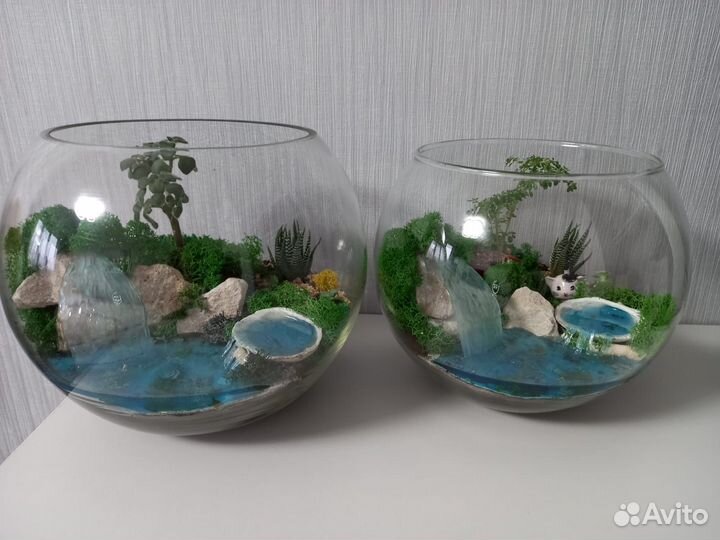 Флорариумы, моссариумы, подарки