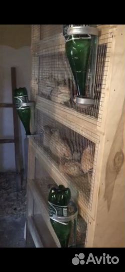 Вольер для содержания птиц