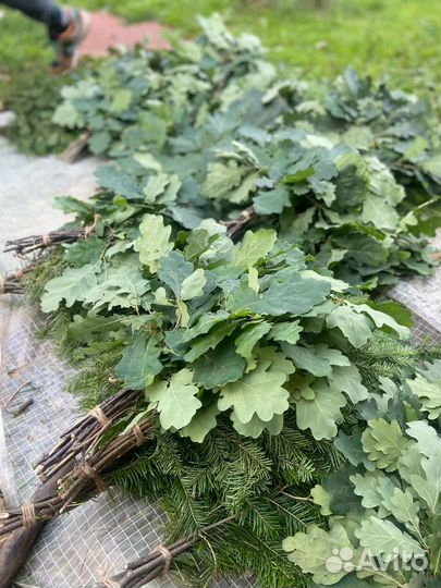 Веники для бани