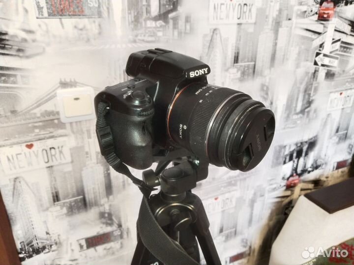 Sony SLT-A37