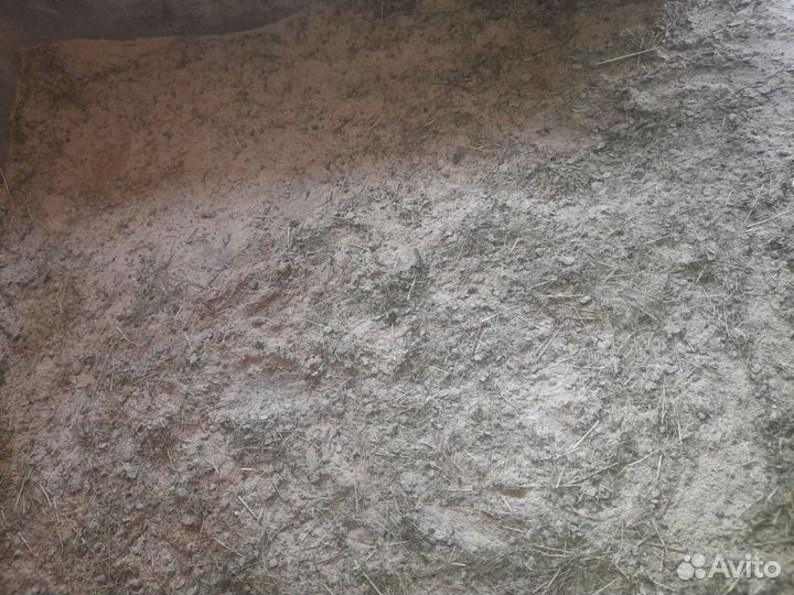 Натуральные удобрения для сада и огорода