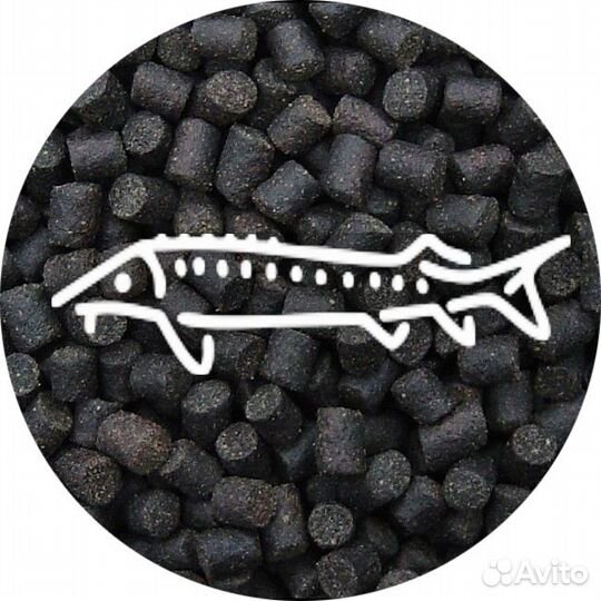 Корм для осетра и прочих видов рыб