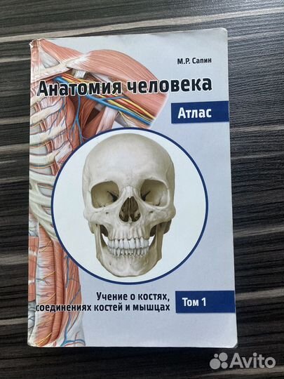 Остеология. Сапин