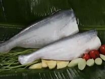 Пангасиус рыба тушка