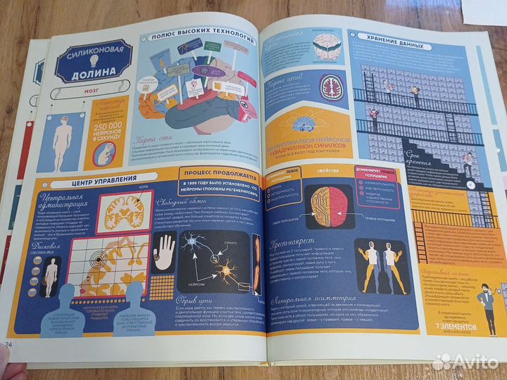 Книга атлас Анатомия человеческого тела