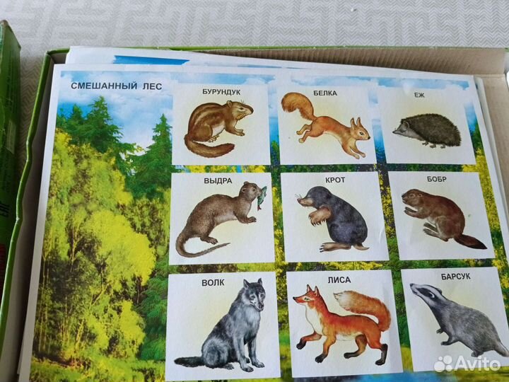 Развивающие игры для детей