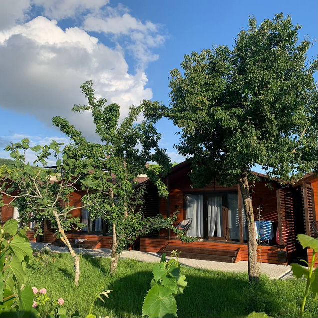Дом 36 м² на участке 40000 м² (Абхазия)