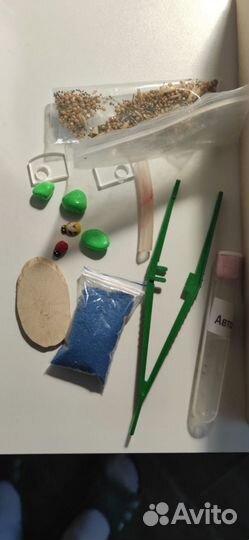 Муравьиная ферма с муравьями