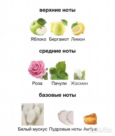 Montale starry nights