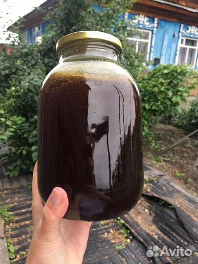 Мёд Алтайский (пустырник)