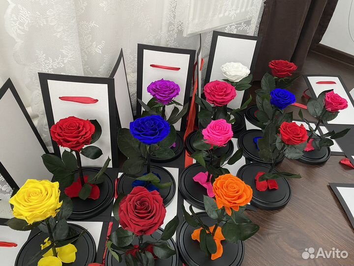 Роза в колбе премиум хит