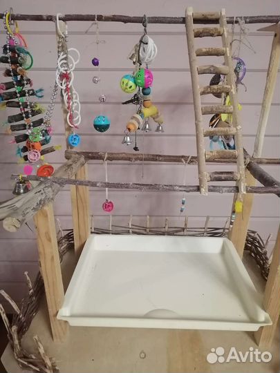 Стенд для попугая