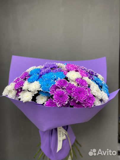 Хризантема кустовая