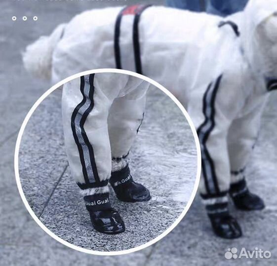 Одежда для собак, дождевик