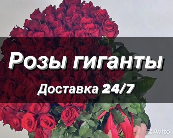 Розы гиганты