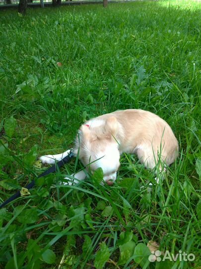 Нежный малыш