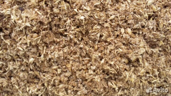 Продам дробина ячменная сырая