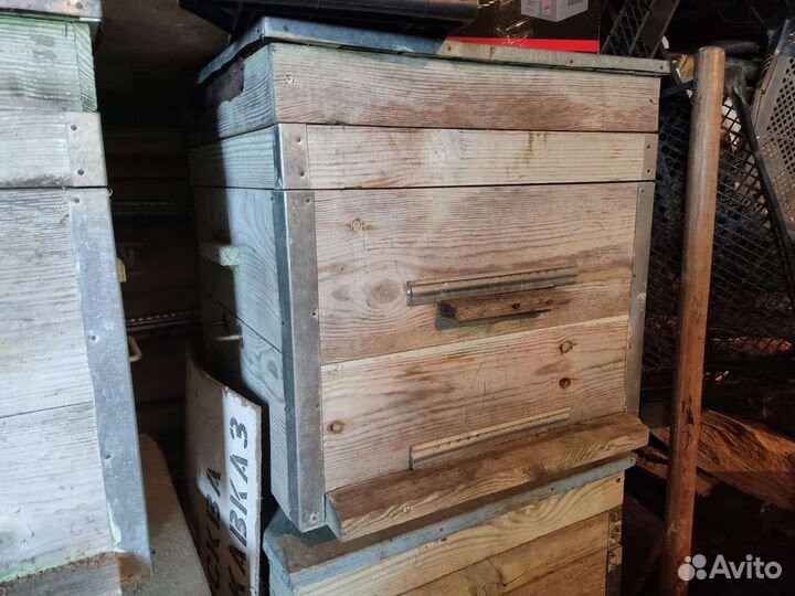 Пчелиные ульи