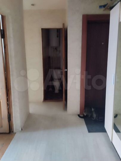 2-к. квартира, 40,1 м², 1/2 эт.