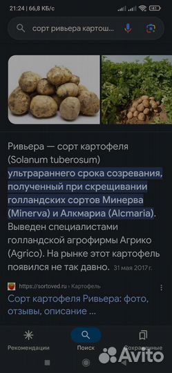 Картофель оптом