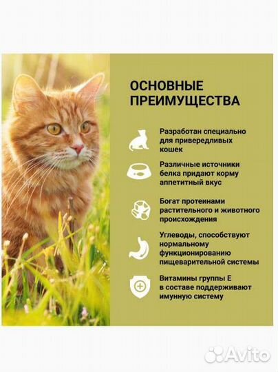 Корм для кошек