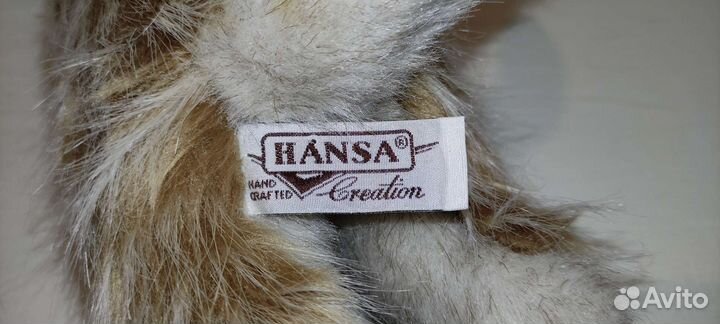 Hansa сурикат