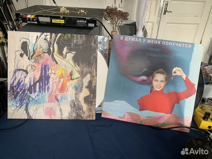 Увула пластинки