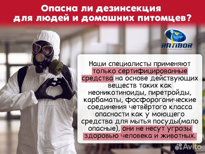 Уничтожение тараканов обработка от клопов муравьев