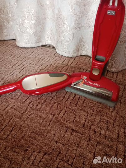 Пылесос Electrolux ergorapido