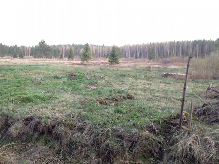 Участок 10 сот. (СНТ, ДНП)