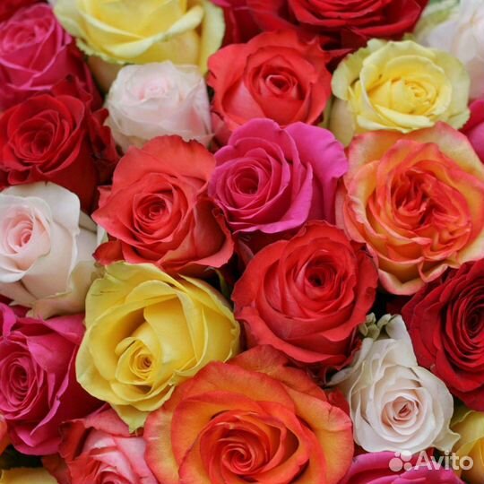 Букет розы цветы