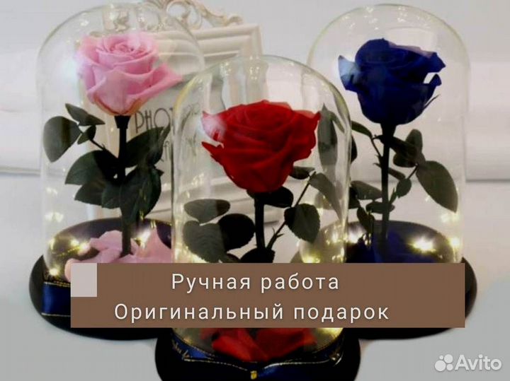 Живая роза в колбе