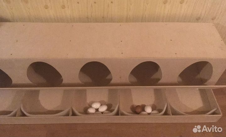 Гнезда для кур несушек