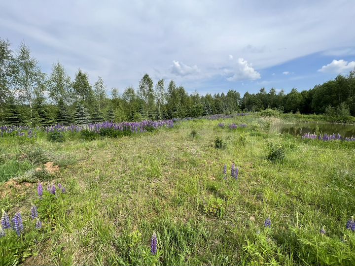 Участок 2,5 га (СНТ, ДНП)