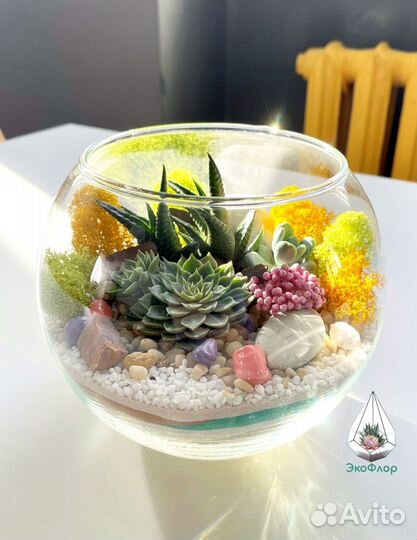 Подарок Декор флорариум суккуленты