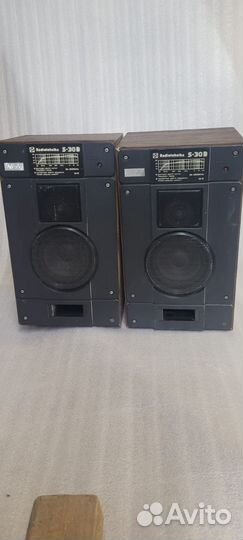 Колонки radiotehnika s 30b