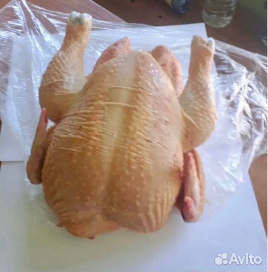 Тушки домашнего бройлера