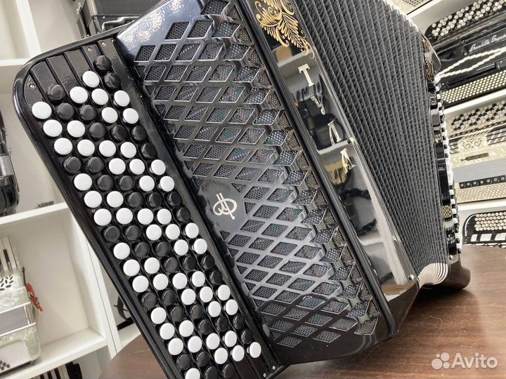 Баян Тула 209