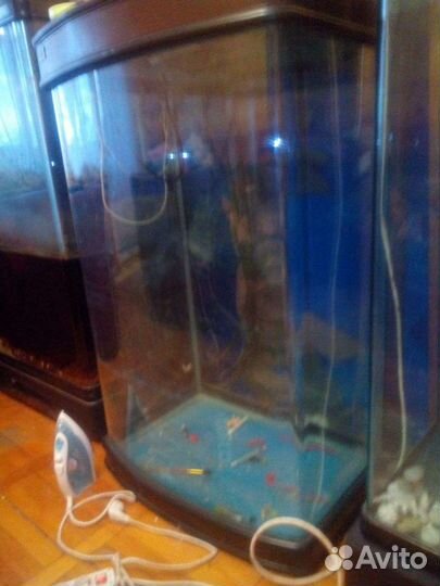 Аквариум эксклюзивный, панорамный
