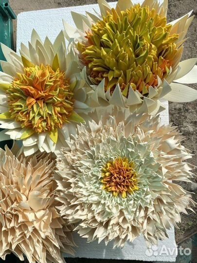 Декор для стен цветы маргаритки