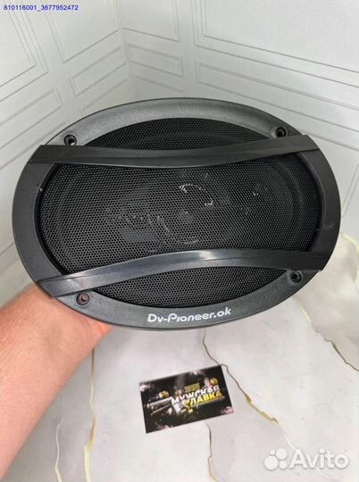 Автоколонки Pioneer TS-A6995 1800W 15x23 см